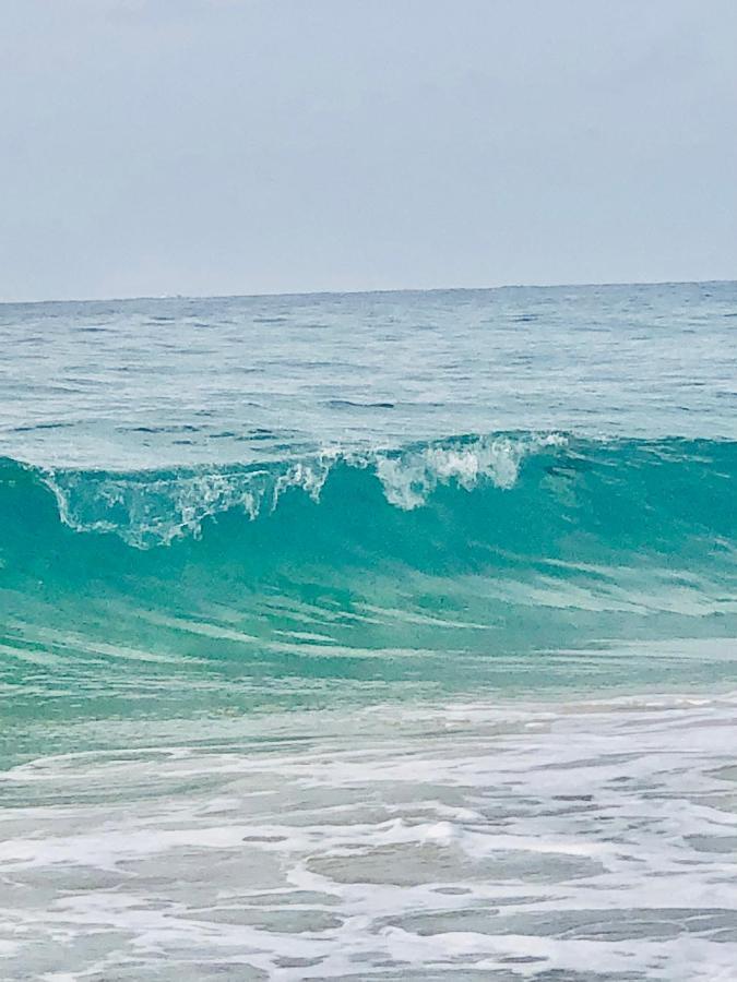 Shore Evamar Benidorm Dış mekan fotoğraf